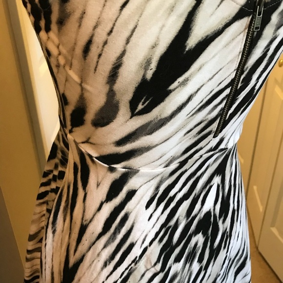 Express Sleeveless Skater Dress - Picture 9 of 11